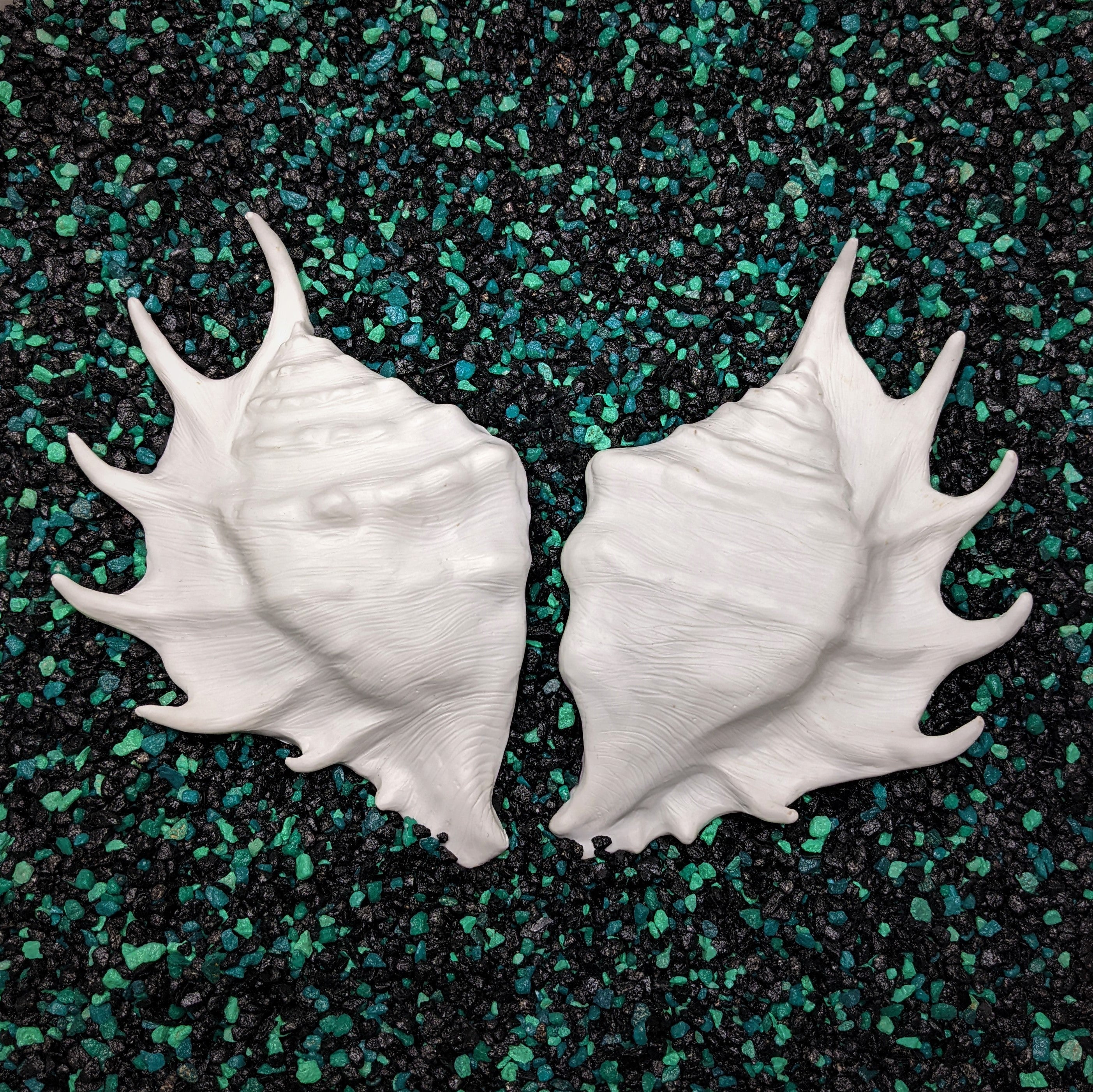 Shells