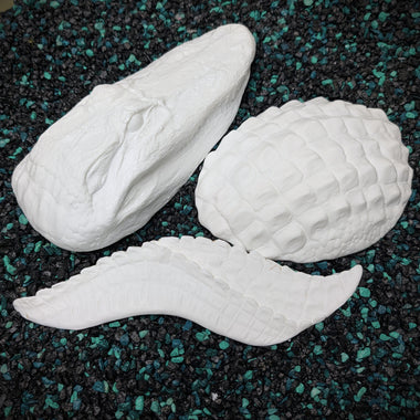 White resin alligator cast on a speckled black and green surface
