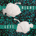Two white fish-shaped objects on a patterned background with 'LEFT' and 'RIGHT' labels.