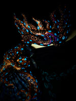 Decorative mask with glowing blue accents on a black background