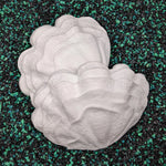 Blank plastic shell set from IDfabrications ID Fabrications for cosplay crafting mermaid tops and merfolk accessories Giant Clam Shell