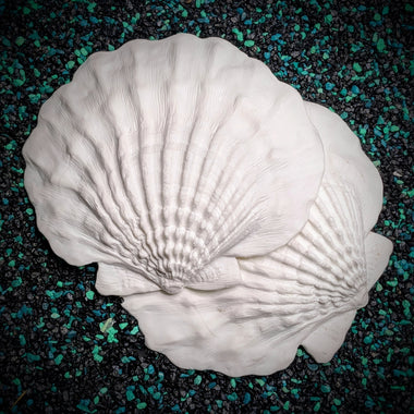 Blank plastic shell set from IDfabrications ID Fabrications for cosplay crafting mermaid tops and merfolk accessories Giant Lion Paw Shell Set