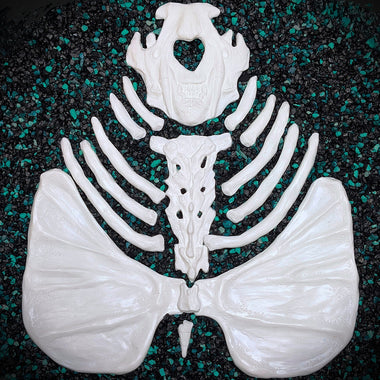 White resin mermaid seal skeleton on a dark textured background
