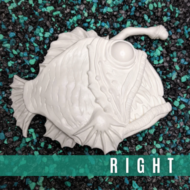 Two white fish-shaped objects on a patterned background with 'LEFT' and 'RIGHT' labels.