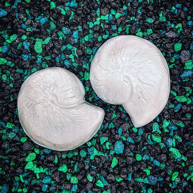 Blank plastic shell set from IDfabrications ID Fabrications for cosplay crafting mermaid tops and merfolk accessories Small Nautilus Seashell set