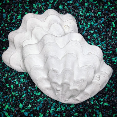 Blank plastic shell set from IDfabrications ID Fabrications for cosplay crafting mermaid tops and merfolk accessories Deep Sea Clam