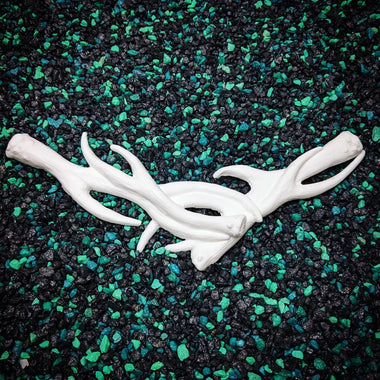 Blank plastic shell set from IDfabrications ID Fabrications for cosplay crafting mermaid tops and merfolk accessories antler crown horns
