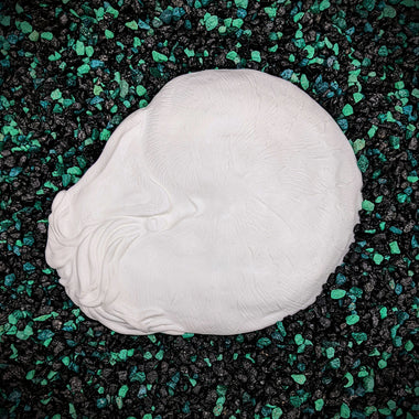 A white, textured plastic sculpture, shaped like a nautilus in its shell, placed on a bed of black and green gravel. For DIY mermaid tops and accessories