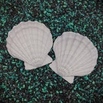 Blank plastic  shell sets from IDfabrications ID Fabrications for cosplay crafting mermaid tops and merfolk accessories seashells Small Lion Paw Shell Set