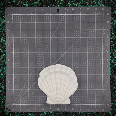 Blank plastic  shell sets from IDfabrications ID Fabrications for cosplay crafting mermaid tops and merfolk accessories seashells Small Lion Paw Shell Set