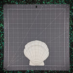 Blank plastic  shell sets from IDfabrications ID Fabrications for cosplay crafting mermaid tops and merfolk accessories seashells Small Lion Paw Shell Set