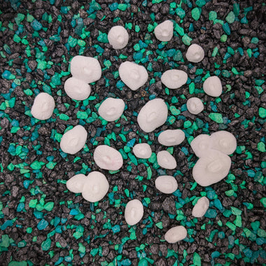 Blank Abalone Shell Set plastic shells for Mermaid tops and Accessories. ID Fabrications hand sculpted seashells barnacles