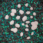 Blank Abalone Shell Set plastic shells for Mermaid tops and Accessories. ID Fabrications hand sculpted seashells barnacles