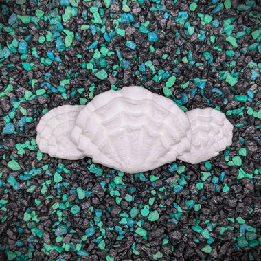 Blank plastic fake faux shell set from IDfabrications ID Fabrications for cosplay DIY crafting mermaid tops and merfolk accessories shells bra mermaidtop siren tri-clam