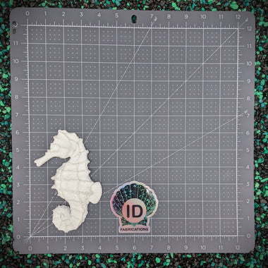 Blank plastic fake faux shell set from IDfabrications ID Fabrications for cosplay DIY crafting mermaid tops and merfolk accessories shells bra mermaidtop siren seahorse