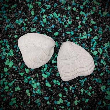 Blank plastic fake faux shell set from IDfabrications ID Fabrications for cosplay DIY crafting mermaid tops and merfolk accessories shells bra mermaidtop siren Freshwater mussels