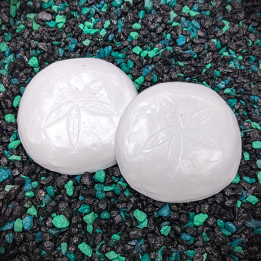 Blank plastic shell seashell set from IDfabrications ID Fabrications for cosplay crafting mermaid tops and merfolk accessories Black Abalone Barnacles Shell Set Sand Dollar