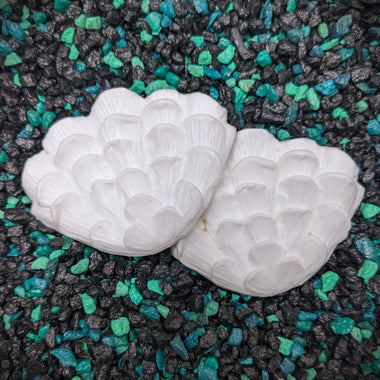 Blank plastic fake faux shell set from IDfabrications ID Fabrications for cosplay DIY crafting mermaid tops and merfolk accessories shells bra mermaidtop siren Ruffled Clam Shell