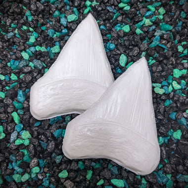 Blank plastic fake faux shell set from IDfabrications ID Fabrications for cosplay DIY crafting mermaid tops and merfolk accessories shells bra mermaidtop siren Megalodon tooth fossil