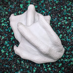Release the Kraftin' Dragon Claw Set