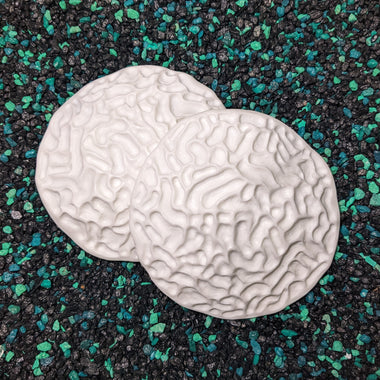 Blank plastic fake faux shell set from IDfabrications ID Fabrications for cosplay DIY crafting mermaid tops and merfolk accessories shells bra mermaidtop siren Brain Coral