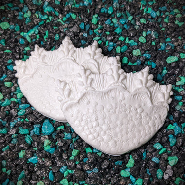 Blank plastic fake faux shell set from IDfabrications ID Fabrications for cosplay DIY crafting mermaid tops and merfolk accessories shells bra mermaidtop siren Shorline Set tri fin creature from the black lagoon