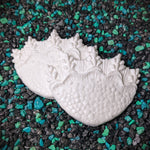 Blank plastic fake faux shell set from IDfabrications ID Fabrications for cosplay DIY crafting mermaid tops and merfolk accessories shells bra mermaidtop siren Shorline Set tri fin creature from the black lagoon