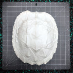 Release the Kraftin' Snapping Turtle Shell