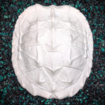 Release the Kraftin' Snapping Turtle Shell