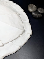 Hawksbill sea turtle shell blank and ready to create mermaid tops and accessories