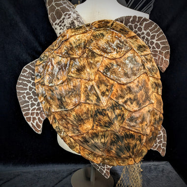 Sea Turtle Back Pack ID fabrications painted to look like a green sea turtle
