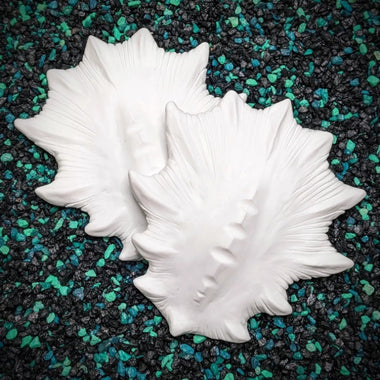 Blank plastic shell set from IDfabrications ID Fabrications for cosplay crafting mermaid tops and merfolk accessories Buried Below Large Shell Set siren deep water