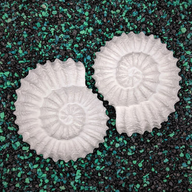 Blank plastic Ammonite fossil shell set from IDfabrications ID Fabrications for cosplay crafting mermaid tops and merfolk accessories
