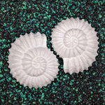 Blank plastic Ammonite fossil shell set from IDfabrications ID Fabrications for cosplay crafting mermaid tops and merfolk accessories