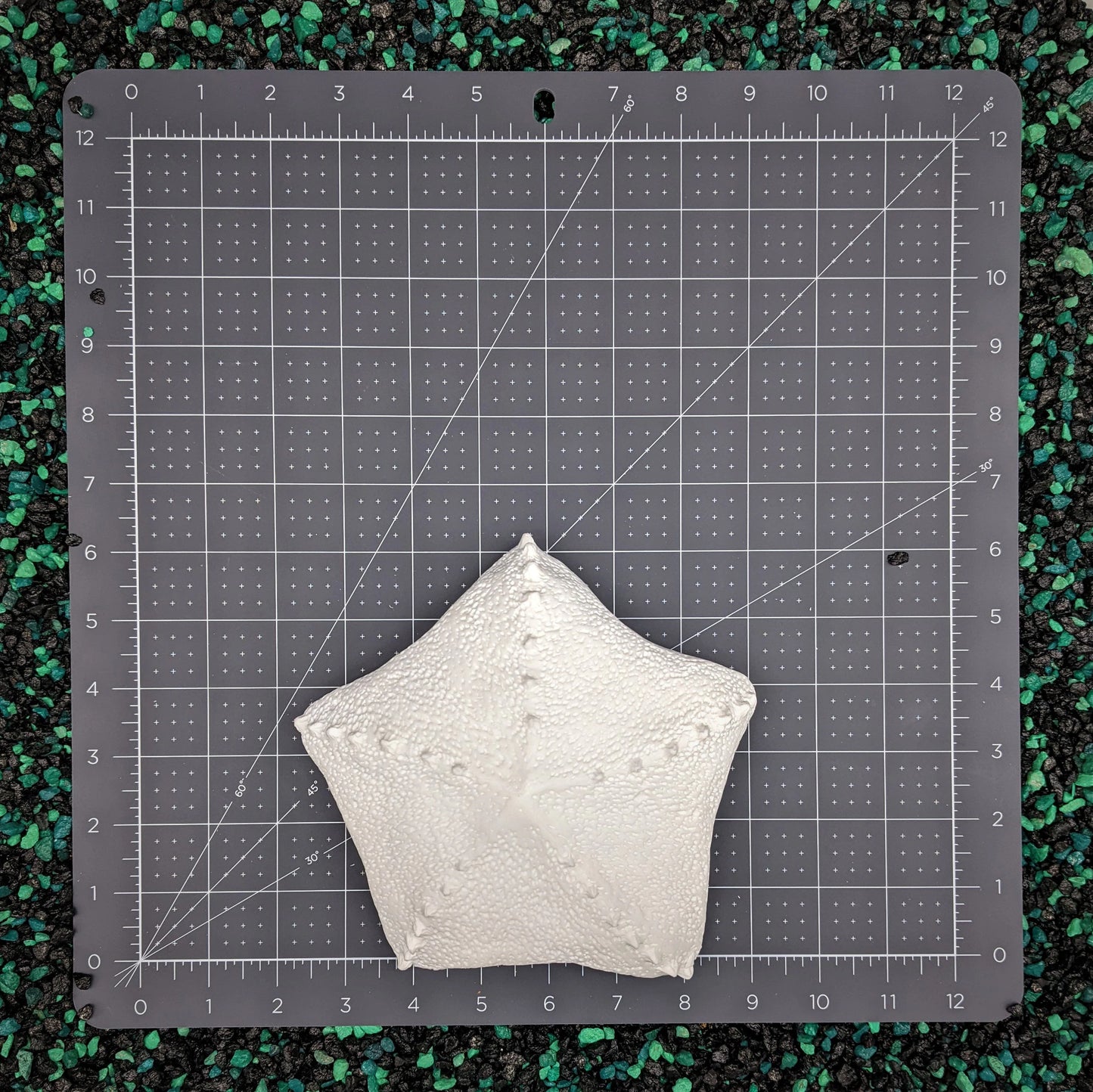 Blank plastic shell set from IDfabrications ID Fabrications for cosplay crafting mermaid tops and merfolk accessories Seashell cushion star starfish