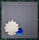 Blank plastic shell set from IDfabrications ID Fabrications for cosplay crafting mermaid tops and merfolk accessories spiny jewelbox shell set horns spikes