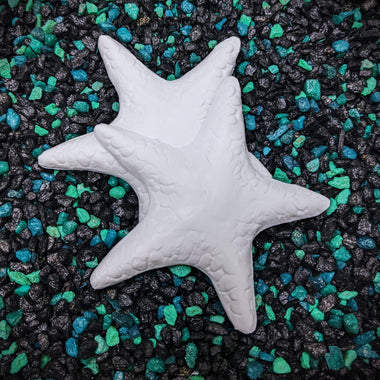 Release the Kraftin' Small Starfish Set