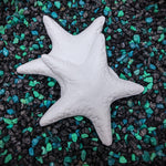 Release the Kraftin' Small Starfish Set