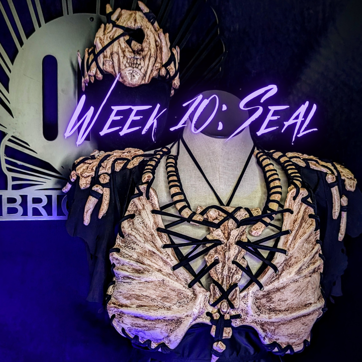 Decorative garment with intricate design on a mannequin, with 'Week 10: SEAL' text and 'Bri' logo in the background.