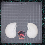 Two white resin plastic nautilus shells  placed on a gray gridded cutting mat, with a small pink and black ID fabrications logo centered between them on a dark speckled surface.