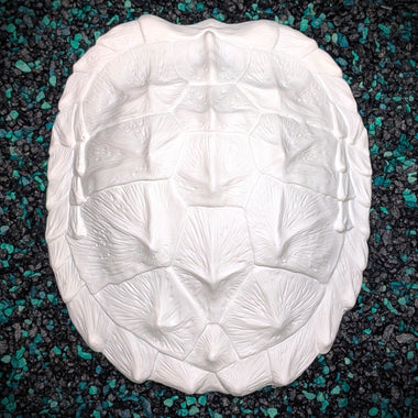 White turtle shell mold on a textured black and green surface