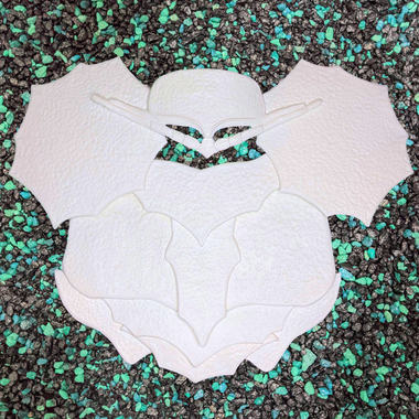 Blank armor set giant isopod from IDfabrications on black and green rocks mermaid top