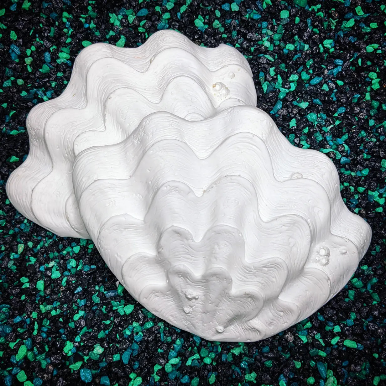 Paintable plastic shells + ocean life for mermaid tops + accessories ...