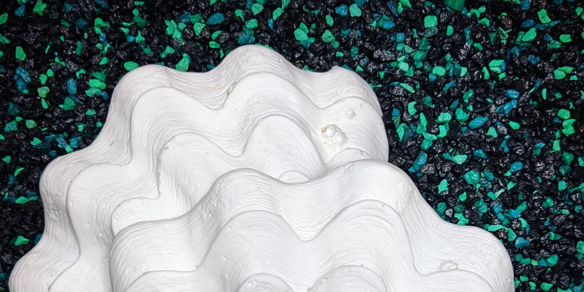 Release the Kraftin' Deep Sea Clam Shell Set – IDfabrications