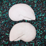 Two white, nautilus shells for DIY Mermaid top  with a textured, organic surface, displayed on a bed of black and teal decorative gravel.