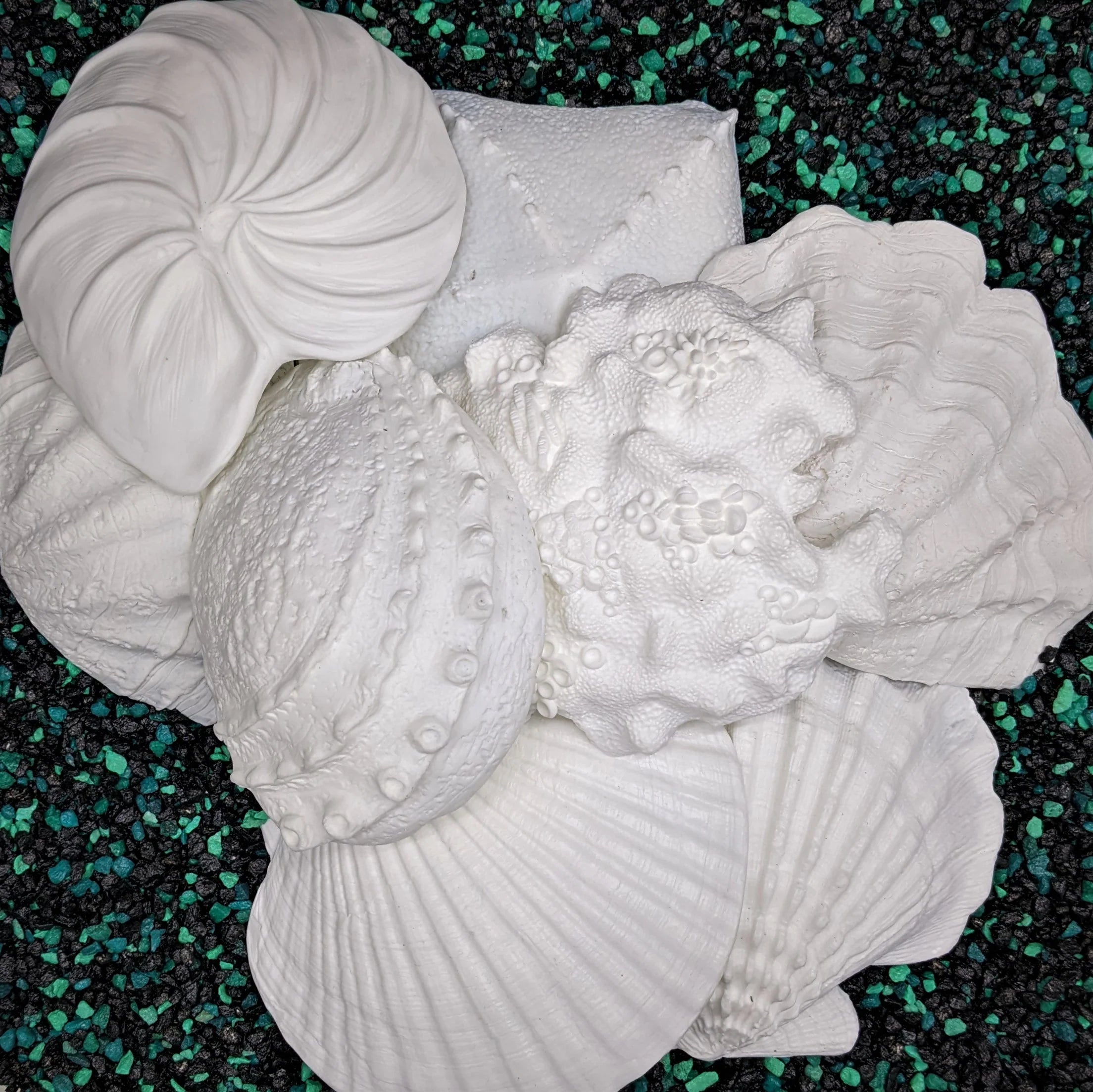 Release the Kraftin' - The Whole Catch!