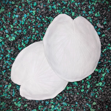 Blank plastic fake faux shell set from IDfabrications ID Fabrications for cosplay DIY crafting mermaid tops and merfolk accessories shells bra mermaidtop siren Lily Pad