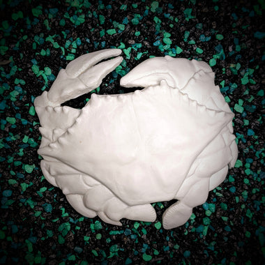 Chesapeake blue crab Blank plastic  shell sets from IDfabrications ID Fabrications for cosplay crafting mermaid tops and merfolk accessories seashells