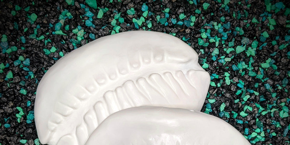 Corwin Shell Release the Kraftin' Cowrie Shell Set – IDfabrications