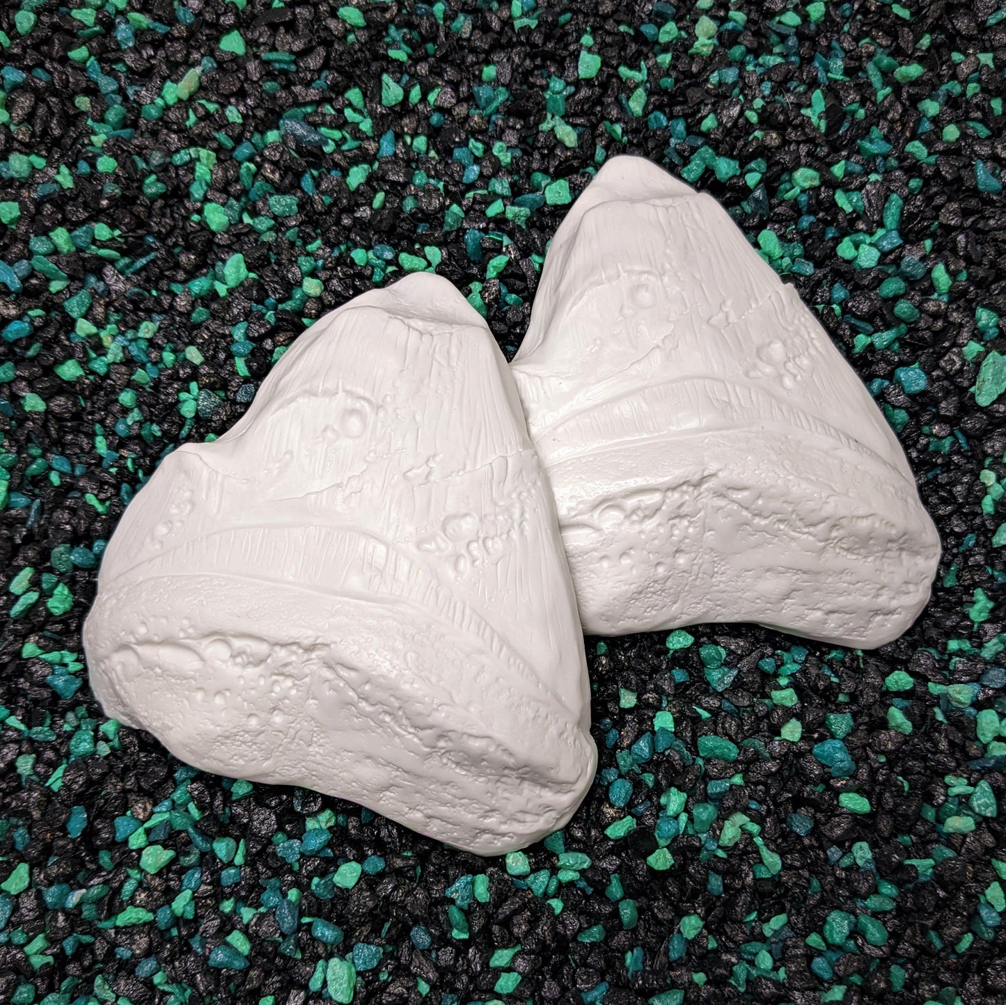Megalodon tooth